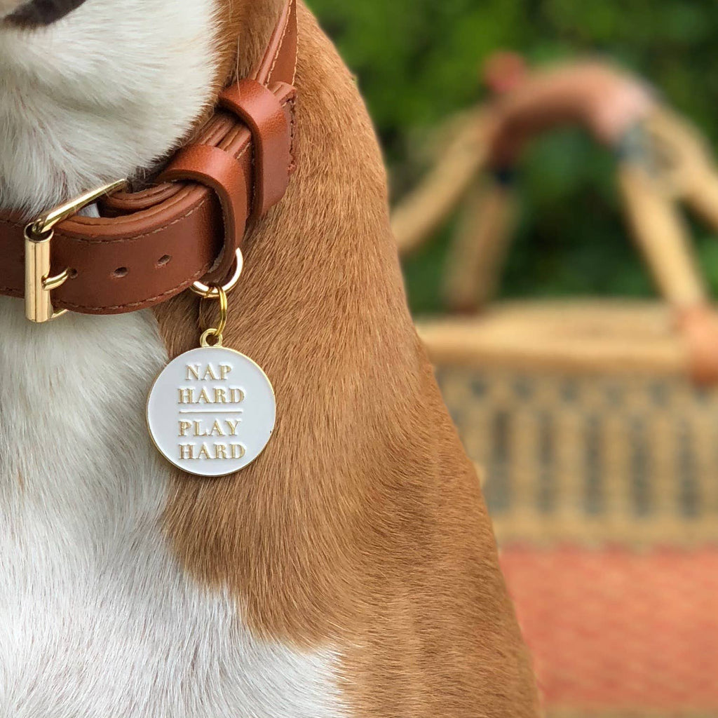 Two Tails Pet Company - Nap Hard Play Hard Pet ID Tag - Dog.Dog.Cat.