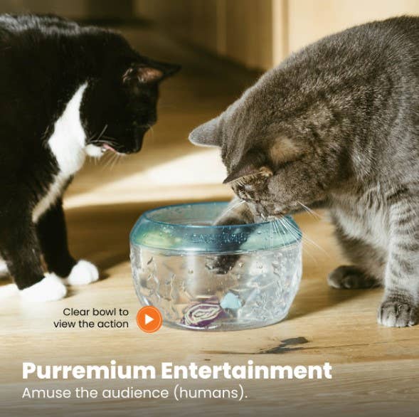 Catstages Meow-Smerizing Fish Bowl Cat Toy Blue - Dog.Dog.Cat.