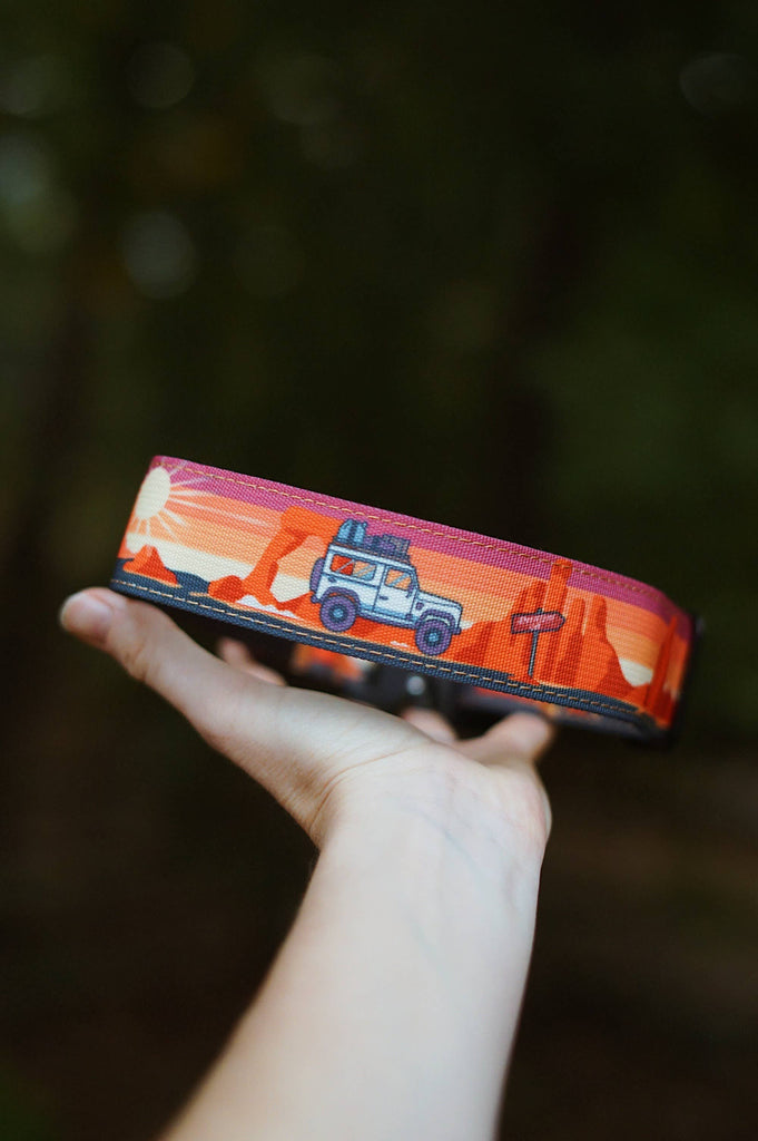 Adventure On Dog Collar - Dog.Dog.Cat.