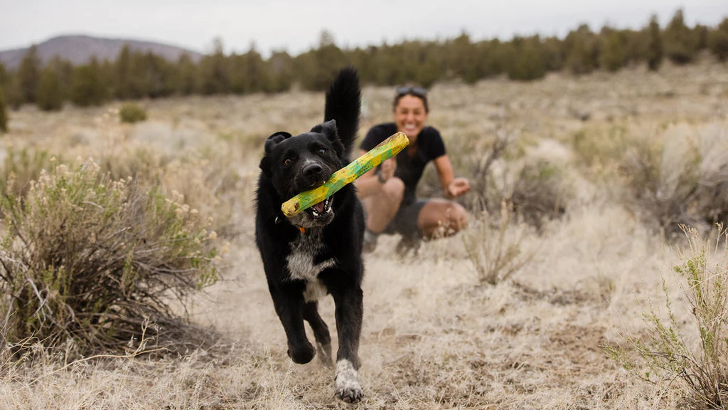 Ruffwear Gnawt-a-Stick - Floats - Dog.Dog.Cat.