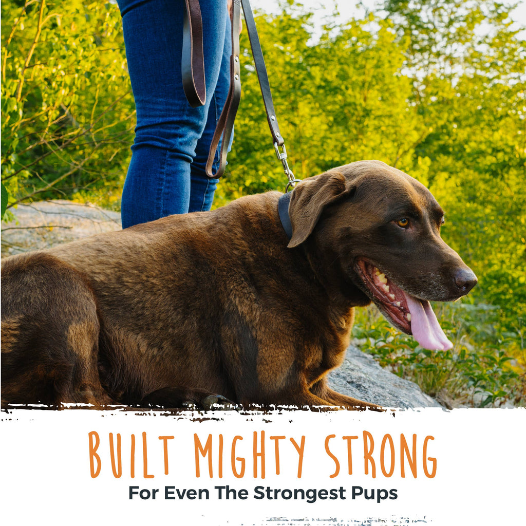 Mighty Paw - Leather Dog Leash (Distressed) - Dog.Dog.Cat.