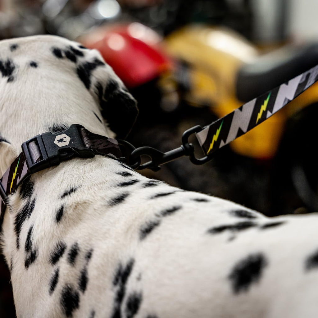 DarkSkies Leash Durable and Reliable Dog Leash for Everyday Use - Dog.Dog.Cat.