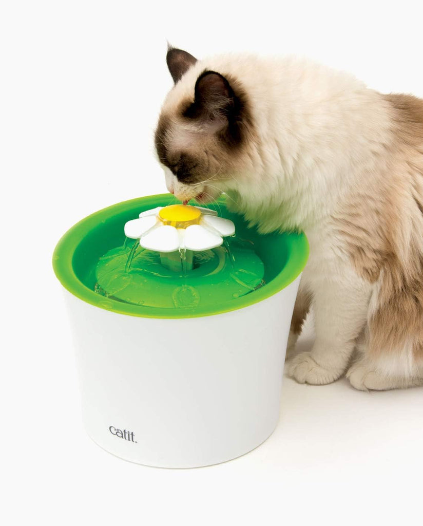 Catit Sense 2.0 Drink Fountain - Dog.Dog.Cat.