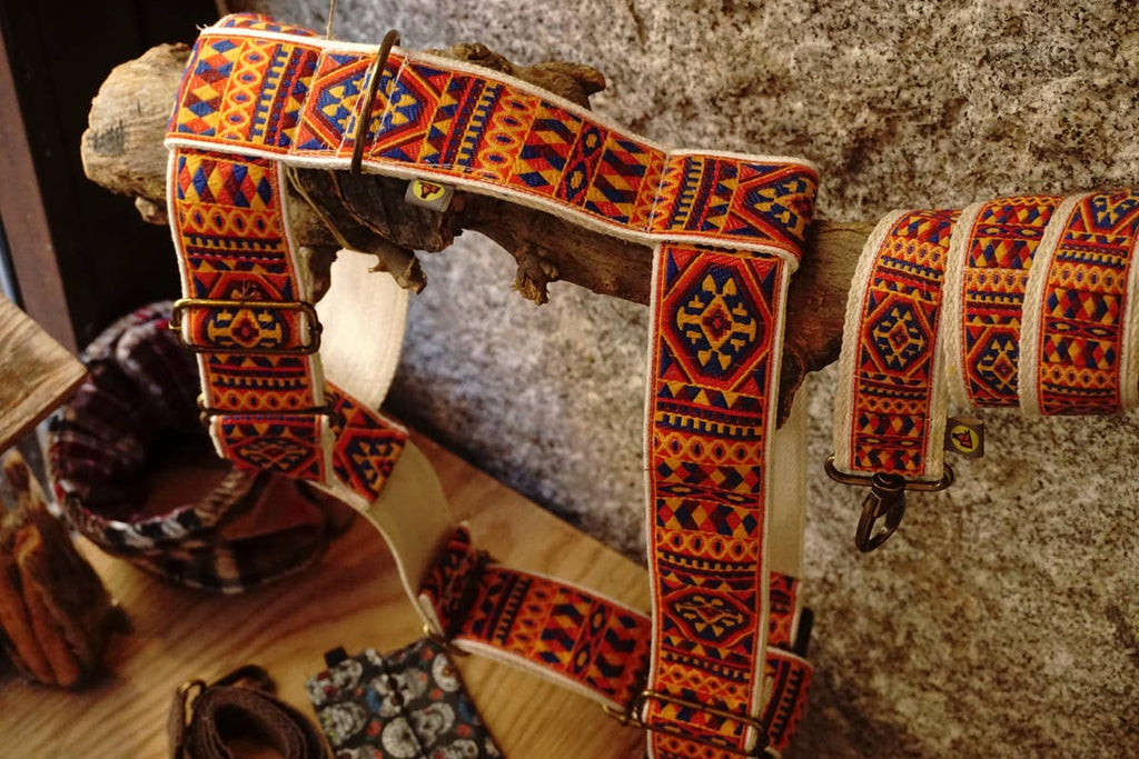 hundsfutter - "Ruben" dog harness and leash - Dog.Dog.Cat.