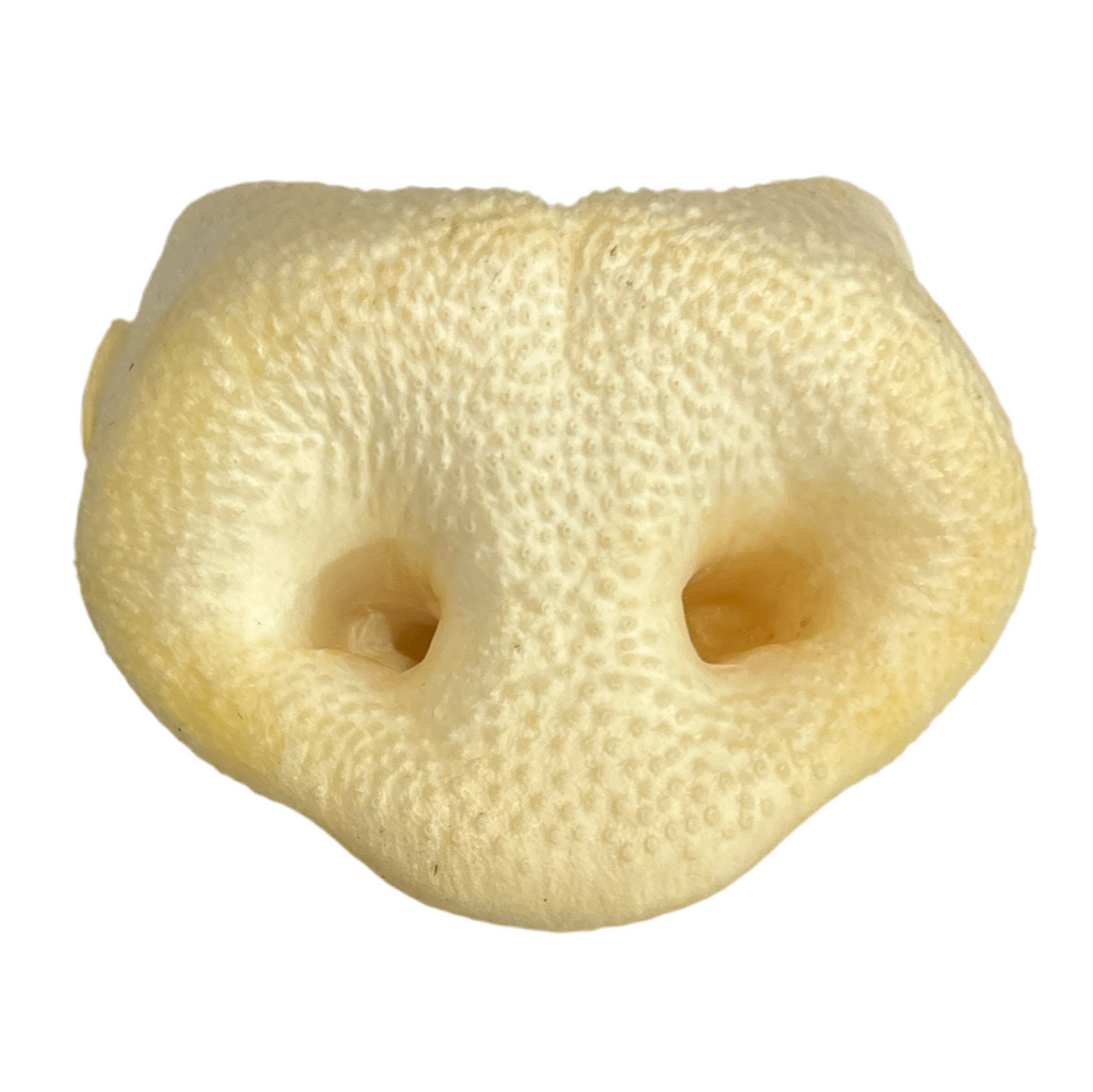 Pig Snouts NOSE Not Freeze Dried - Dog.Dog.Cat.