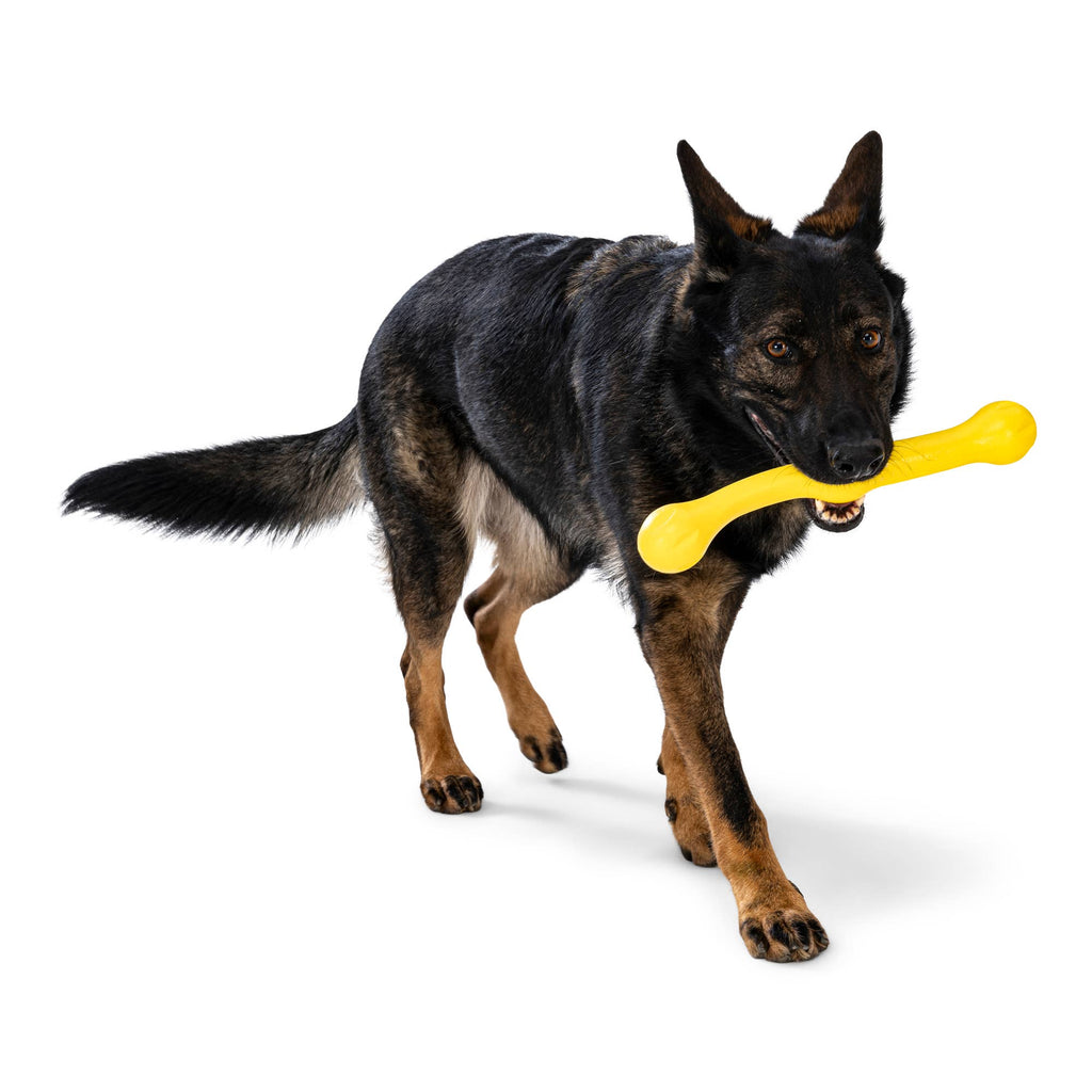 West Paw - Zwig® Dog Toy for Play, Tug, and Fetch - Dog.Dog.Cat.