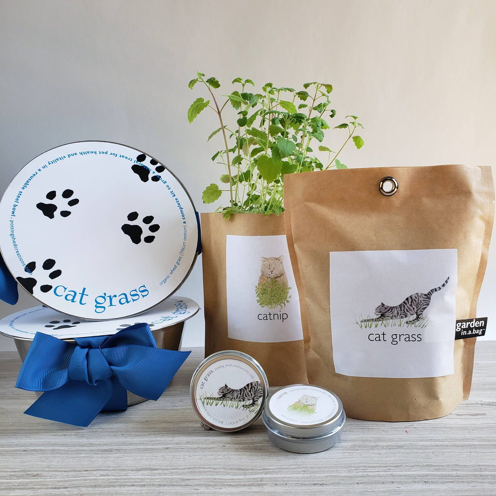 Potting Shed Creations, Ltd. - Pet Bowl | Cat Grass | NEW Christmas Gift idea - Dog.Dog.Cat.