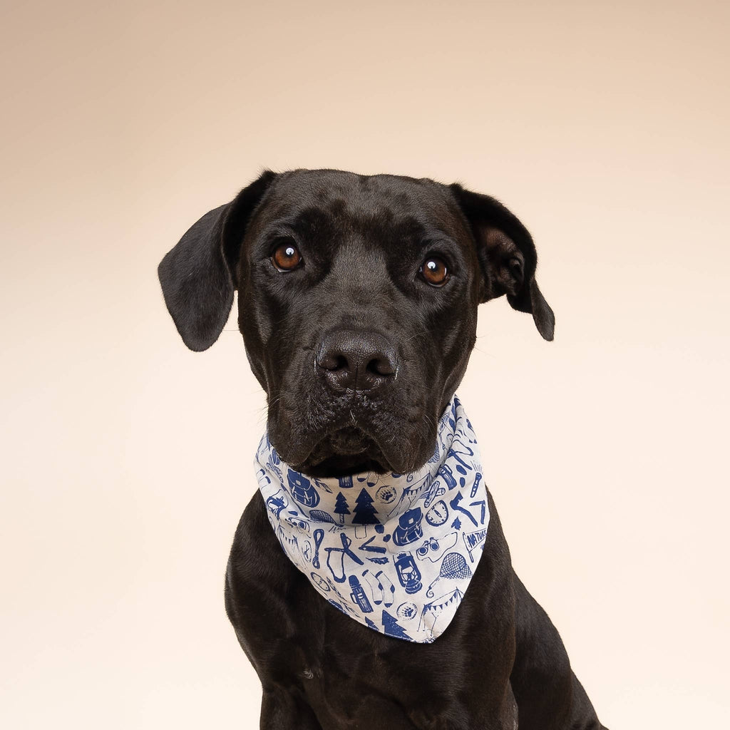 The Paws - Wander Dog Bandana - Dog.Dog.Cat.