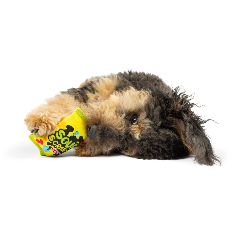 Tiny Tuff Sour Scratch - Dog.Dog.Cat.