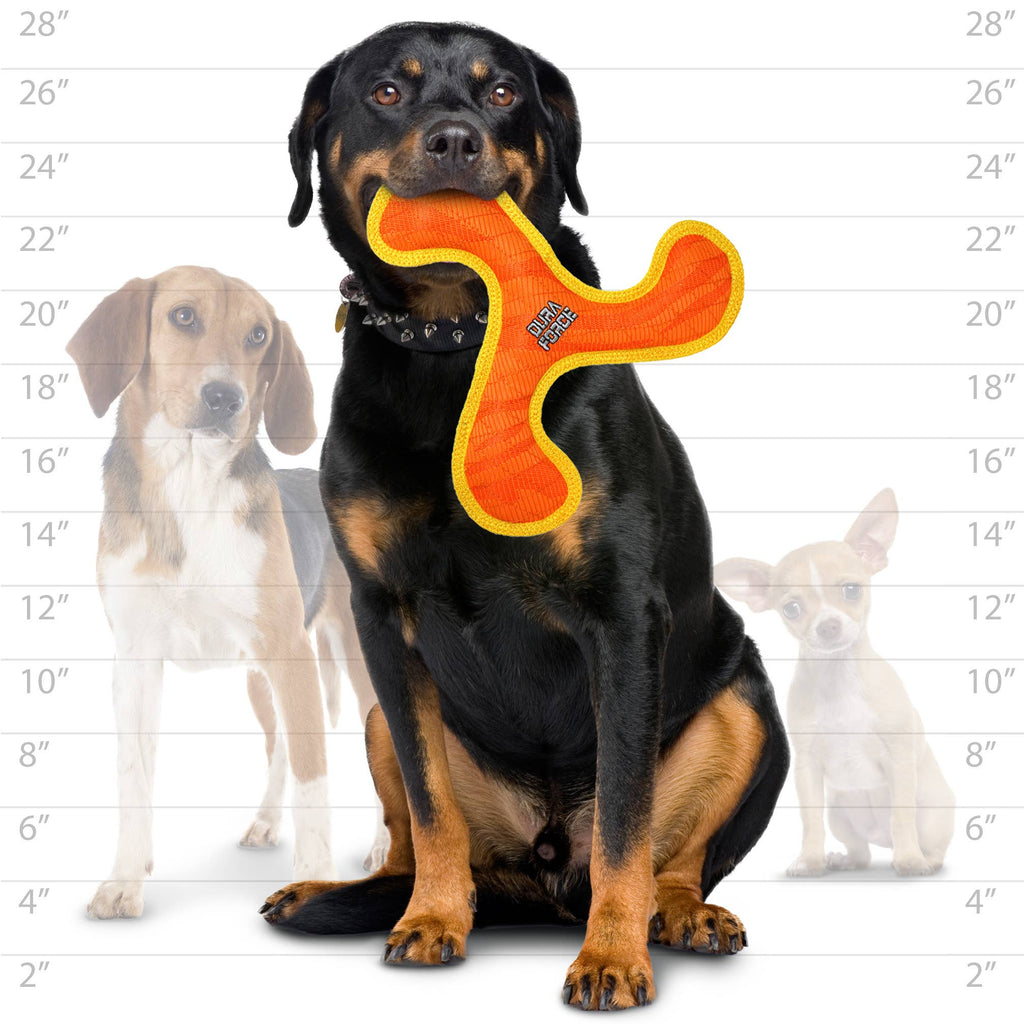 DuraForce Boomerang Tiger - Orange, Durable, Squeaky Dog Toy - Dog.Dog.Cat.