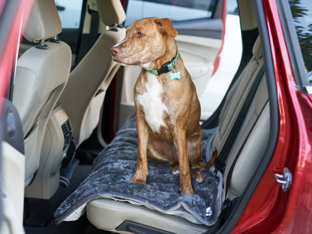 Pet Parents® - Pawtect® Blankets, Waterproof Pet Blankets - Dog.Dog.Cat.