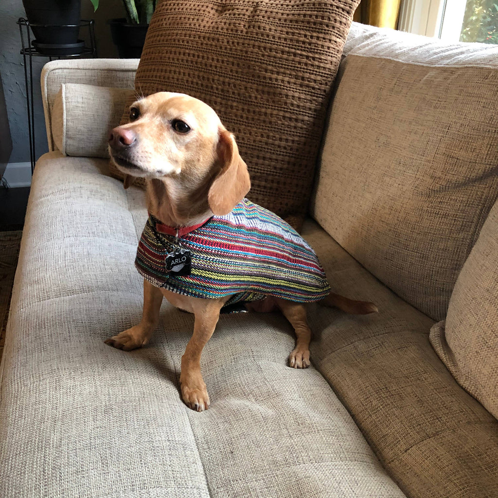 Walking Palm - 100% Hand-Woven Dog Poncho - Bohemian Multicolor - Dog.Dog.Cat.