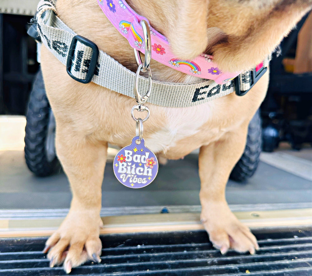 Bad Bitch Vibes - Personalized Dog ID Tag w/ Scannable Code - - Dog.Dog.Cat.
