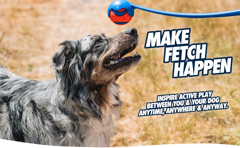 Chuckit! Dog Ball Launcher - Classic 26" with Medium (2.5"), Dog Fetch Ball Thrower, Made in USA - Dog.Dog.Cat.