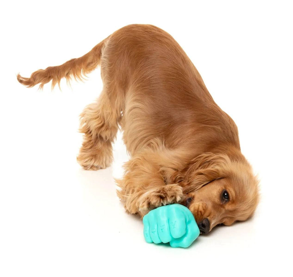 FuzzYard Knuckle Sandwich Dog Chew Toy - Dog.Dog.Cat.