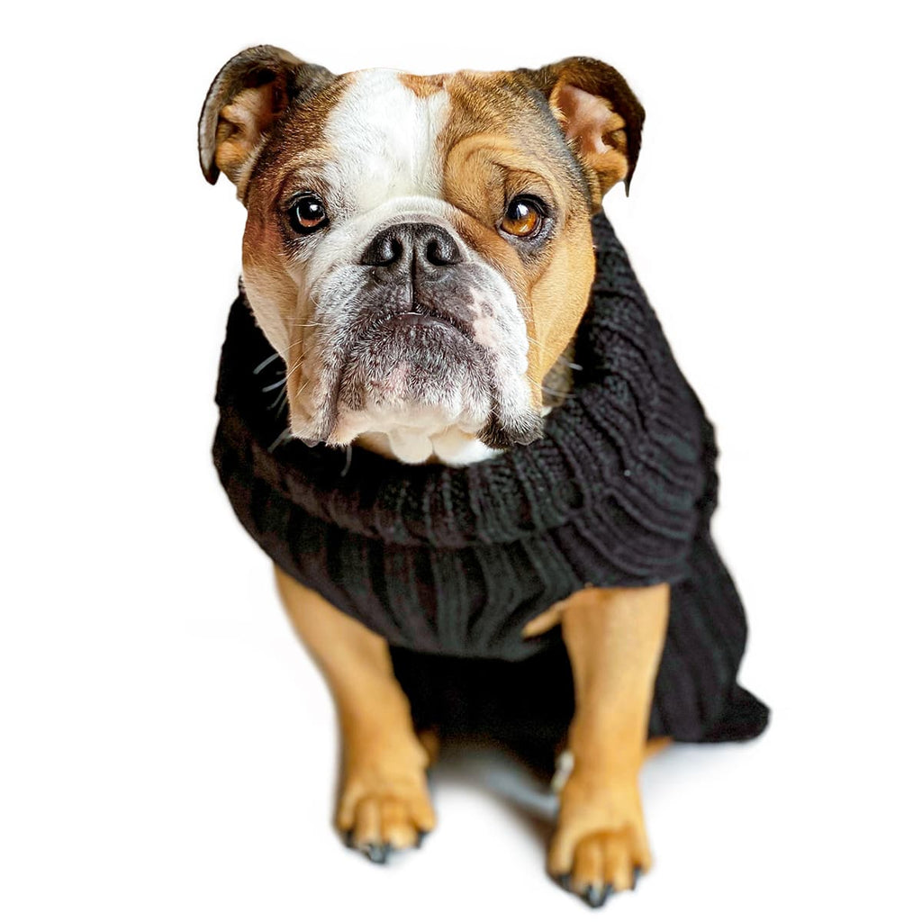 Zoo Snoods - Zoo Sweaters - Dog.Dog.Cat.