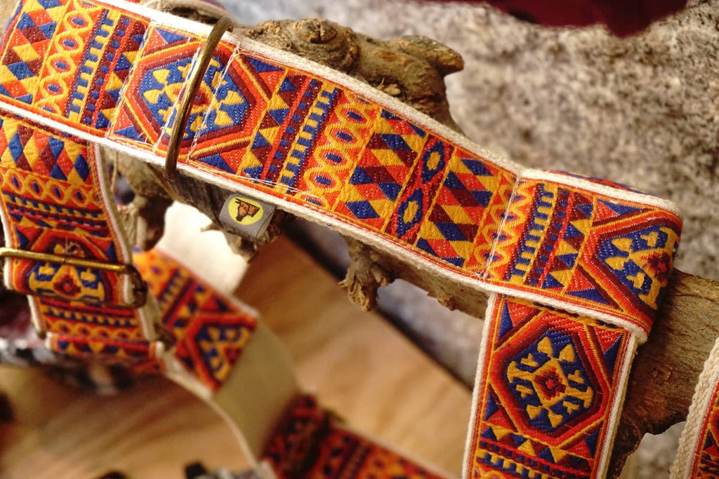 hundsfutter - "Ruben" dog harness and leash - Dog.Dog.Cat.