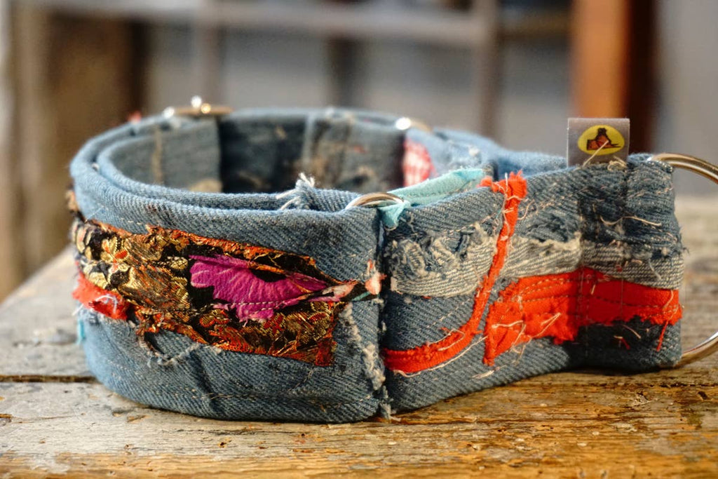 hundsfutter - “Easy” anti-escape dog collar - mixed media jeans - Dog.Dog.Cat.