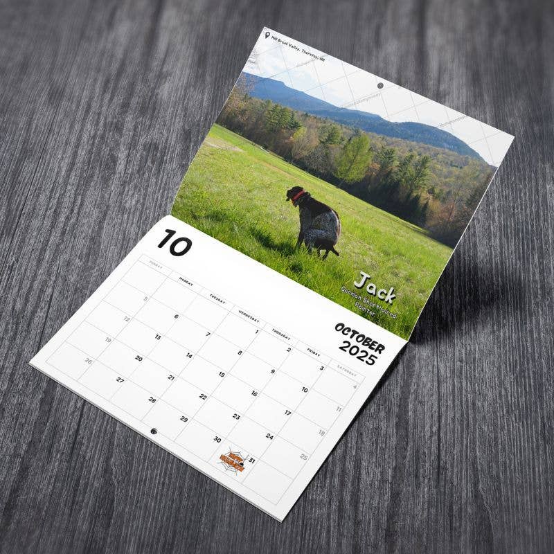ShutUpAndTakeMyMoney - Dogs Pooping in Beautiful Places™ 2025 Calendar - Gag Gift - Dog.Dog.Cat.
