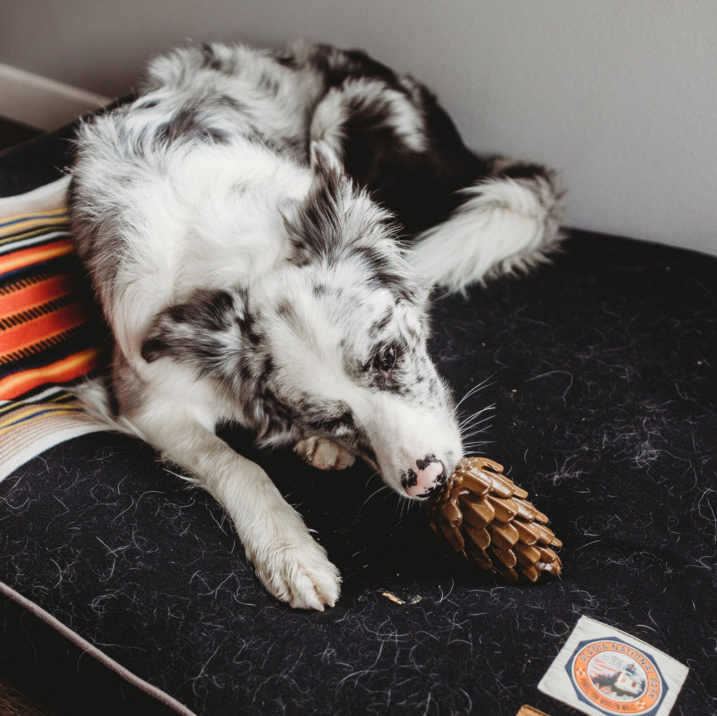 Loblolly Pinecone Puzzle Toy - Dog.Dog.Cat.