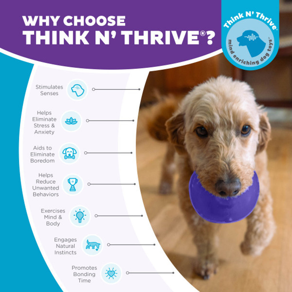 Outward Hound Orbee Tuff-Snoop Purple Small - Dog.Dog.Cat.