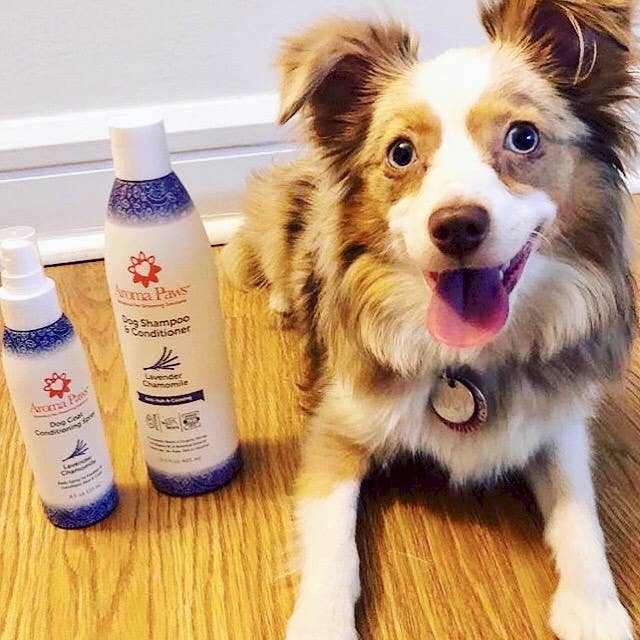 Aroma Paws - 13.5 Oz. Shampoo Lavender Chamomile - Dog.Dog.Cat.