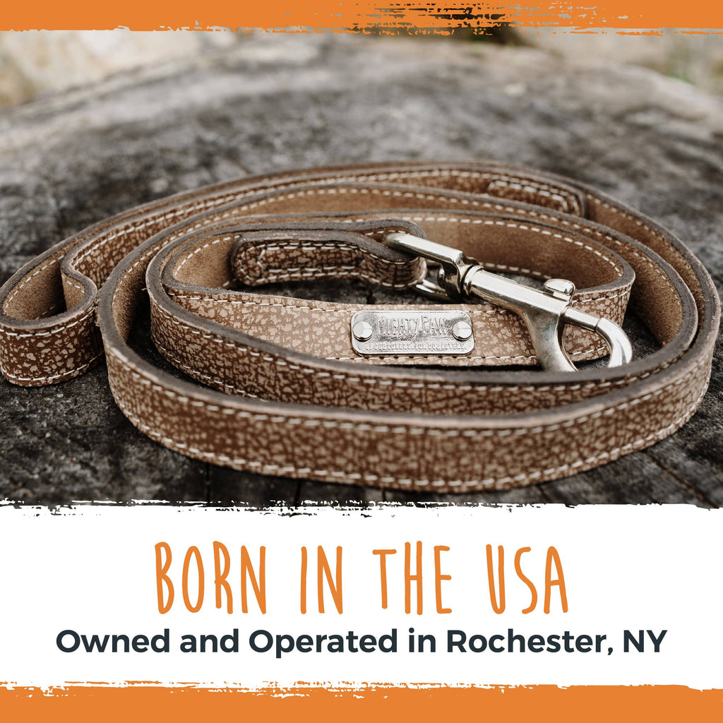 Mighty Paw - Leather Dog Leash (Distressed) - Dog.Dog.Cat.