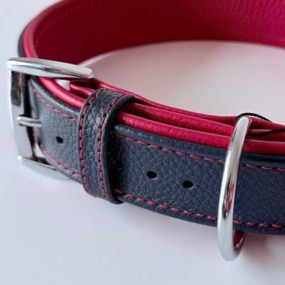 Premium Padded Floater Leather Dog Collar | Navy Blue & Red - Dog.Dog.Cat.