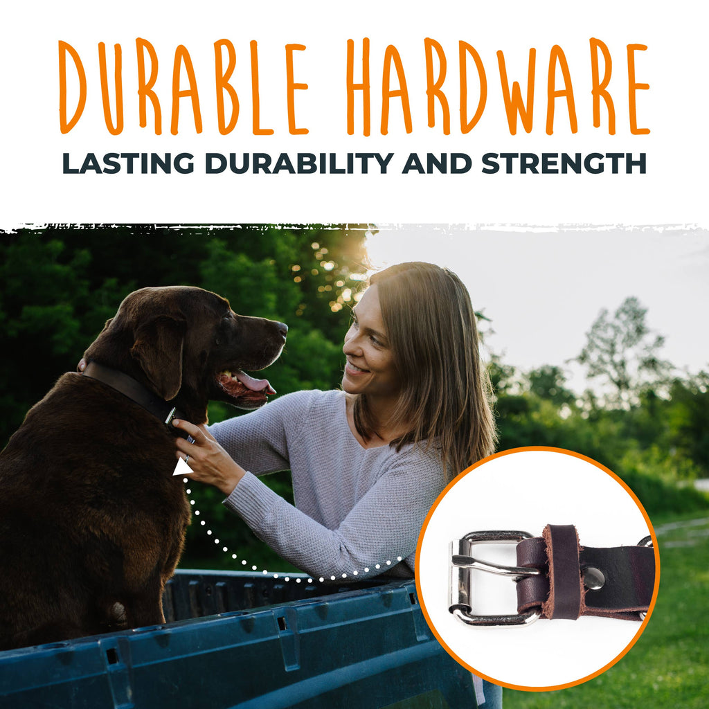 Mighty Paw - Leather Dog Collar - Distressed - Dog.Dog.Cat.