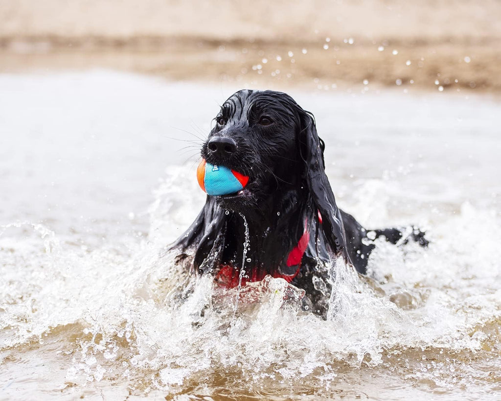 Chuckit! Amphibious Balls - Dog.Dog.Cat.