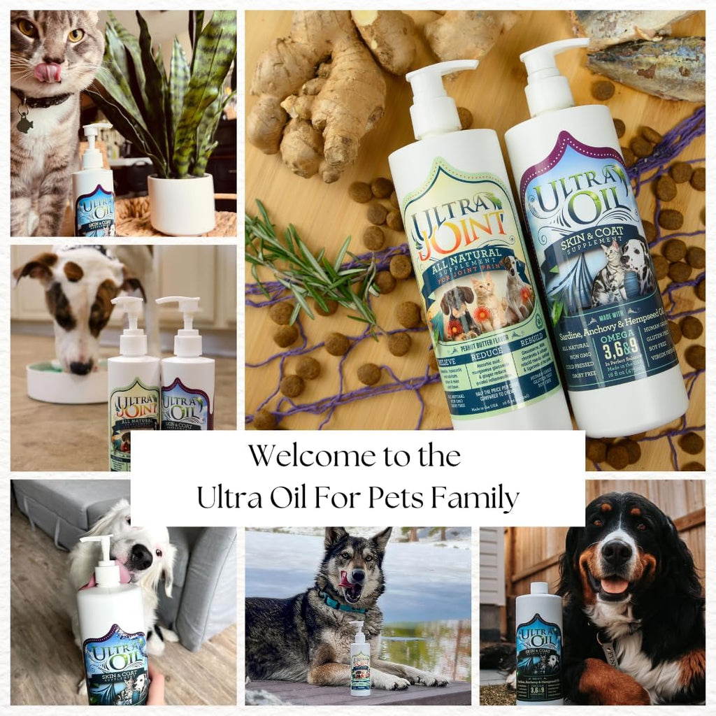 Ultra Oil Skin Coat Supplement - Dog.Dog.Cat.