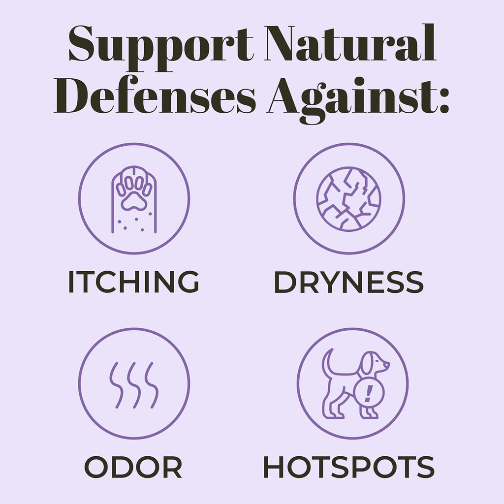 Skout Probiotic Shampoo & Conditioner - Lavender : 16 oz - Dog.Dog.Cat.