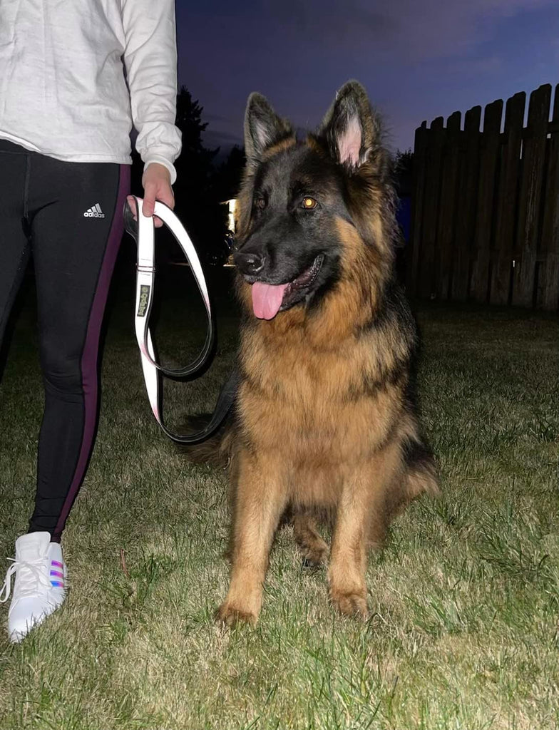 Cycle Dog Reflective Collar Wide Silver Reflective - Dog.Dog.Cat.