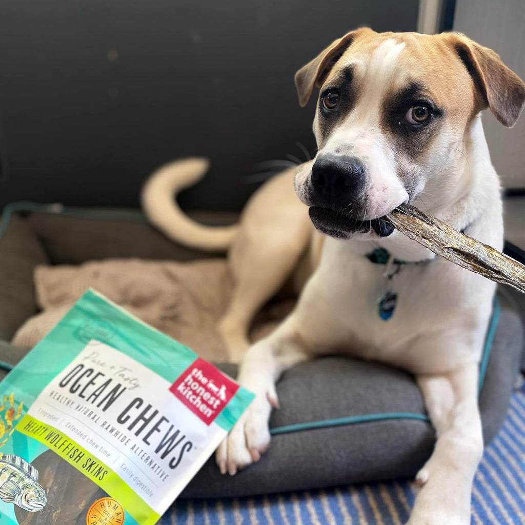 The Honest Kitchen Human Grade Ocean Chews Crispy Cod Fish Skins Dog Treats, 5.5 Ounces - Dog.Dog.Cat.