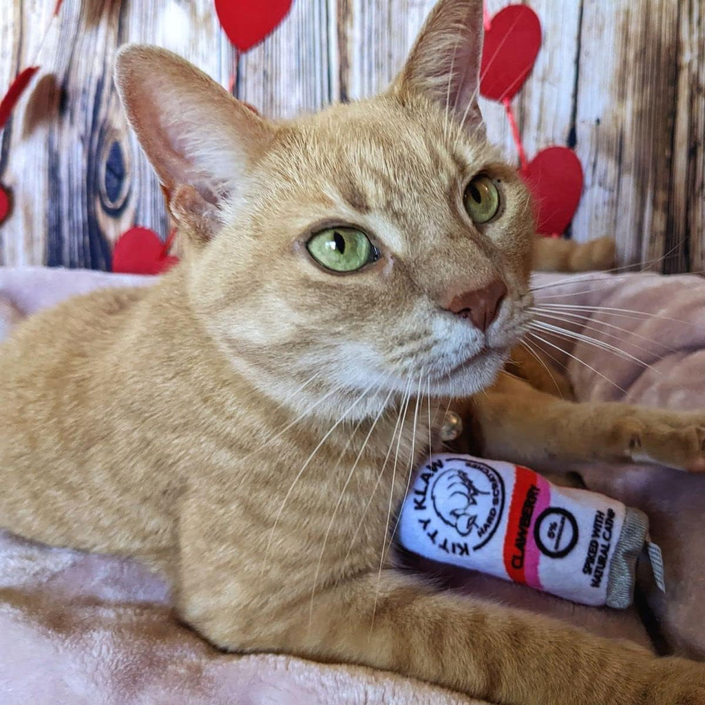 Kitty Klaw Clawberry Cat Toy - Dog.Dog.Cat.