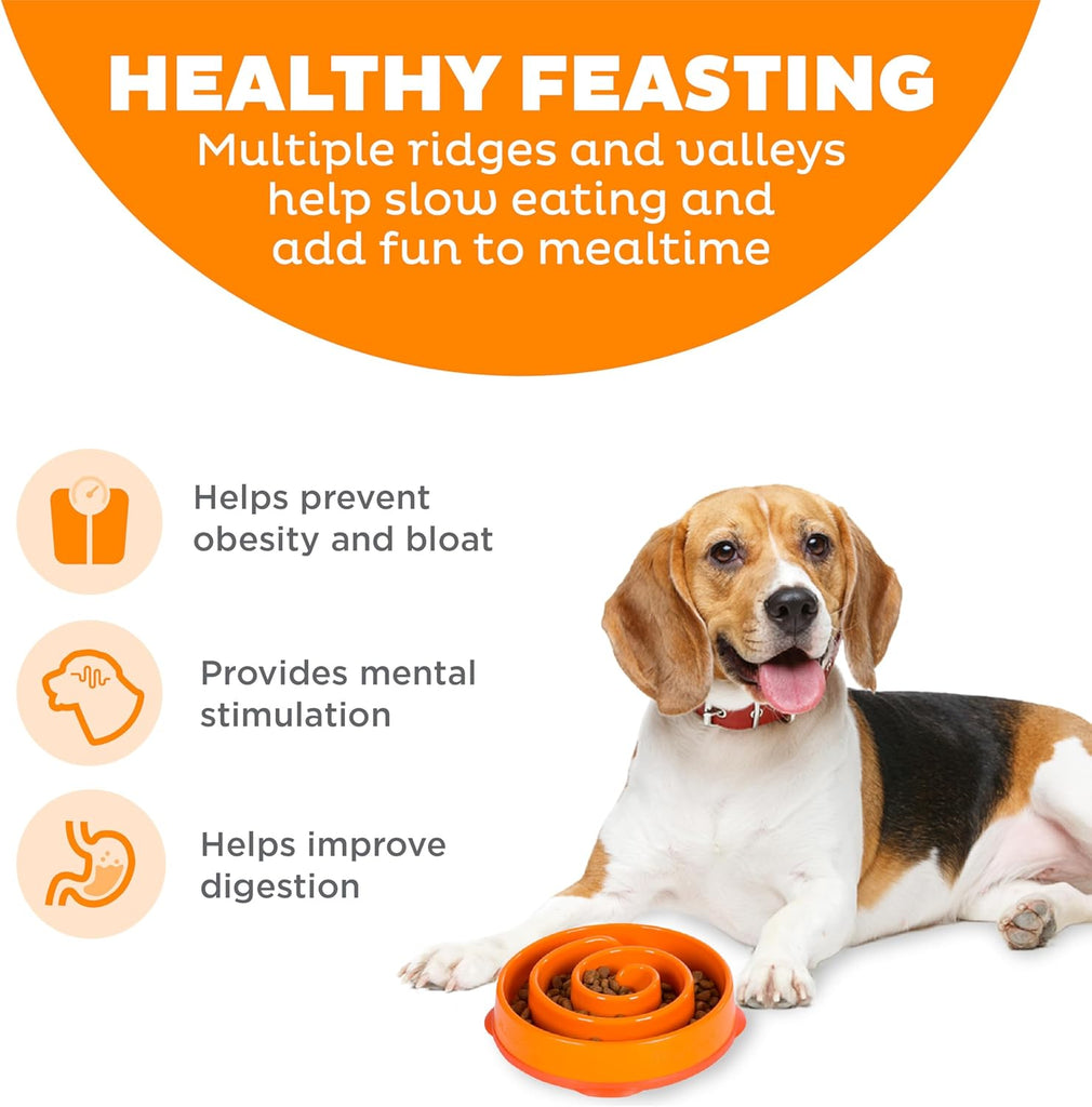Outward Hound Fun Feeder Slow Bowl – Durable Interactive Pet Feeding Toy for Dogs - Dog.Dog.Cat.
