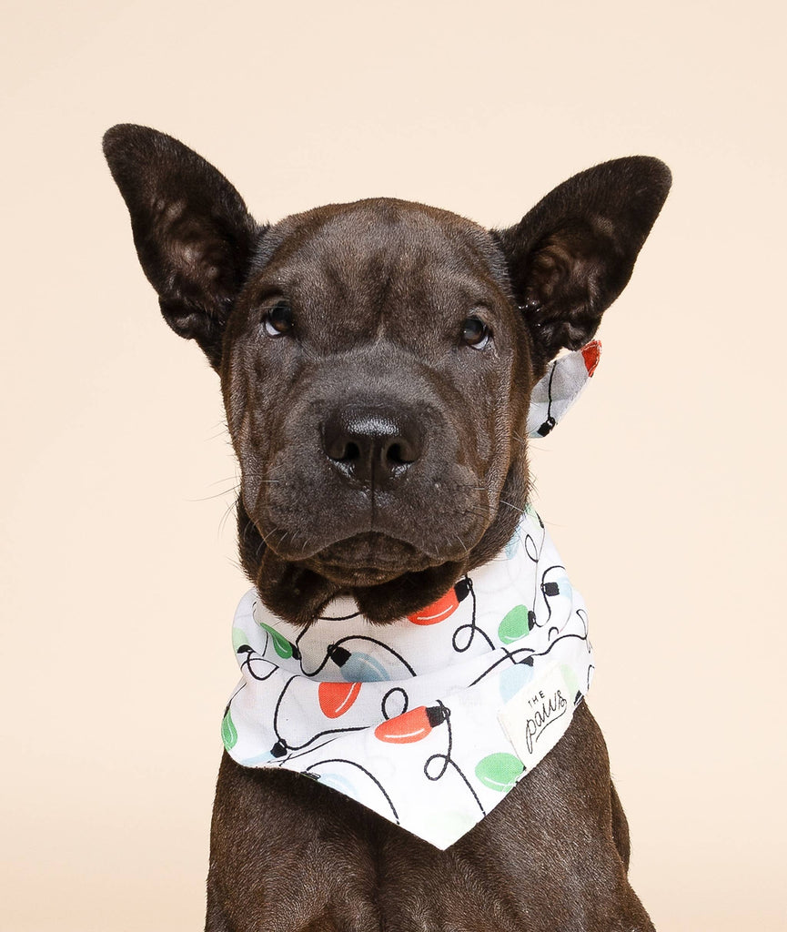 The Paws - Twinkle Christmas Dog Bandana - Dog.Dog.Cat.