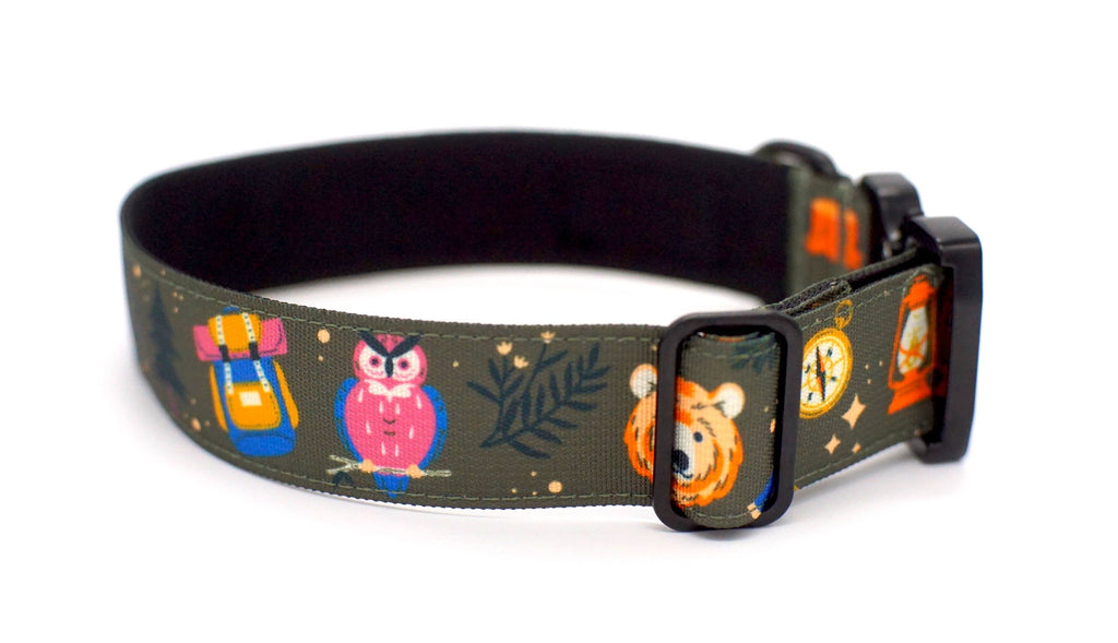 Enchanted Forest Dog Collar - Dog.Dog.Cat.