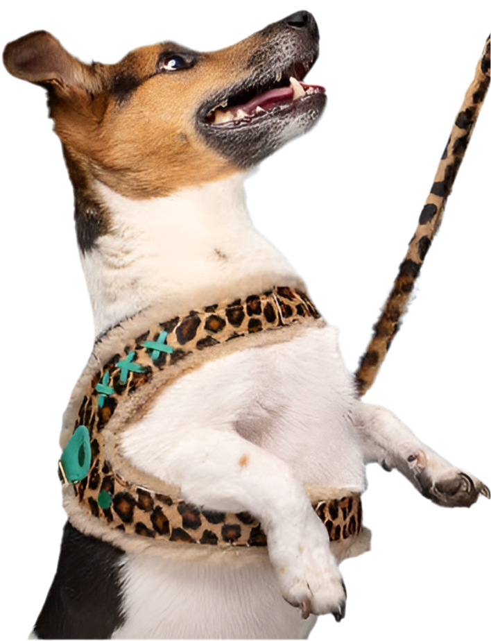 Dog With A Mission Leopard Print Dog Harness with Fleece Easy step in design