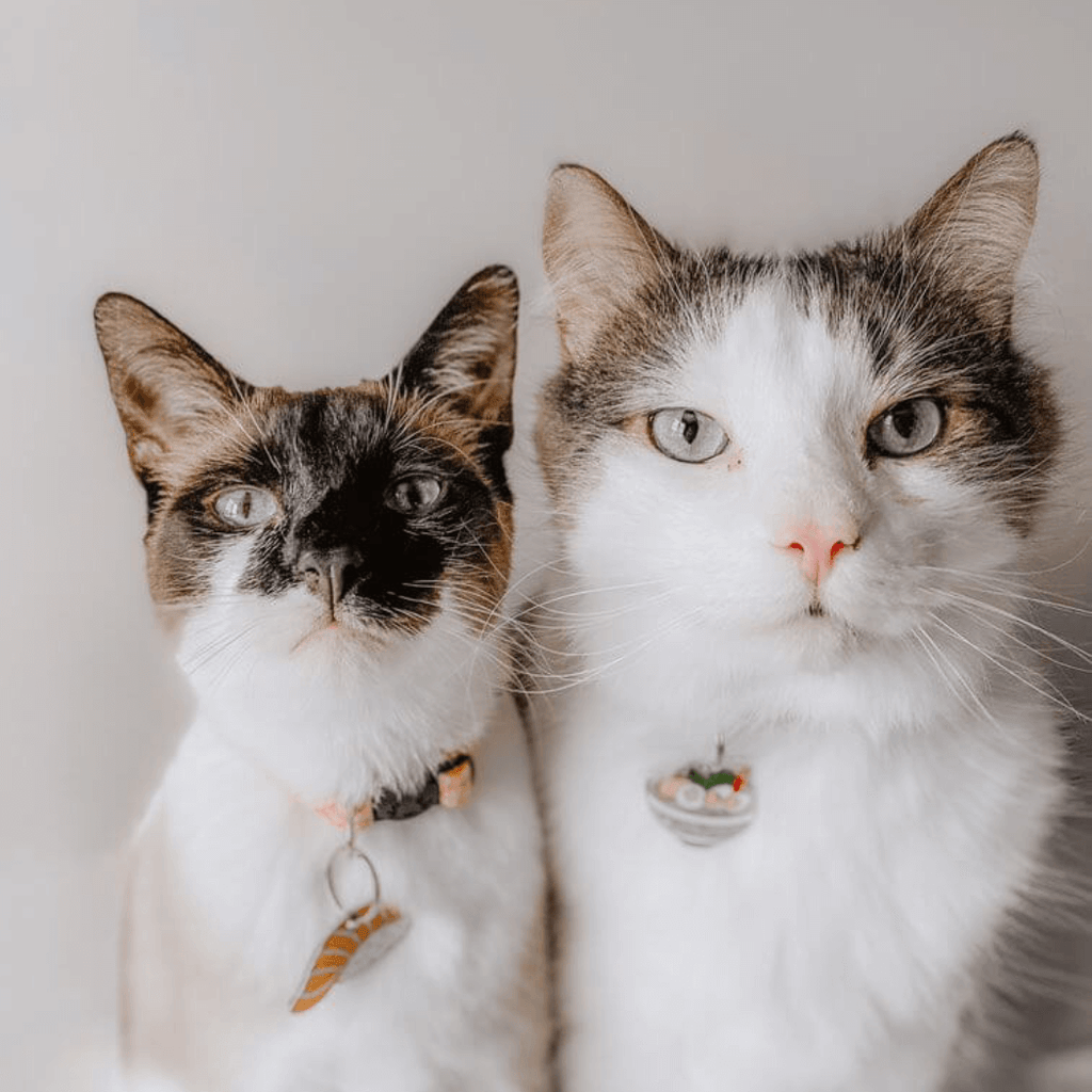 Sushi Pet ID Tag - Dog.Dog.Cat.