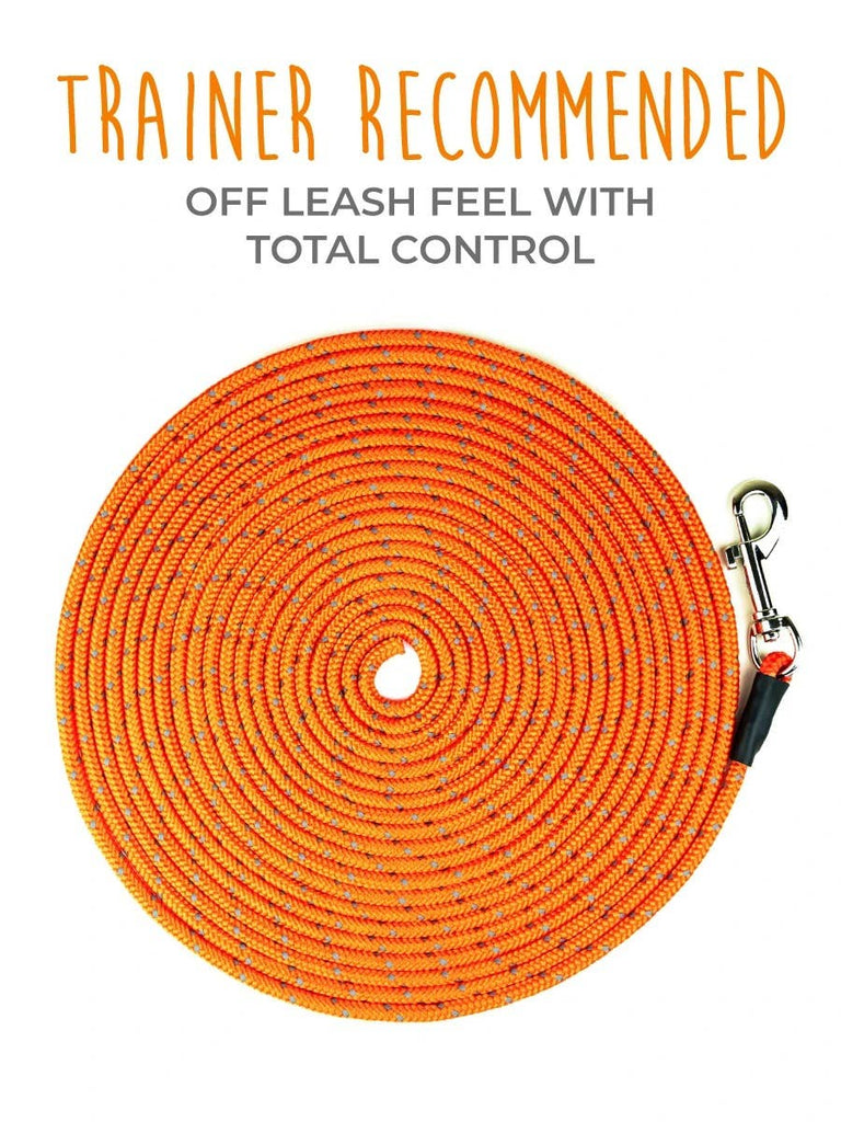 Mighty Paw - 30' Check Cord - Dog.Dog.Cat.