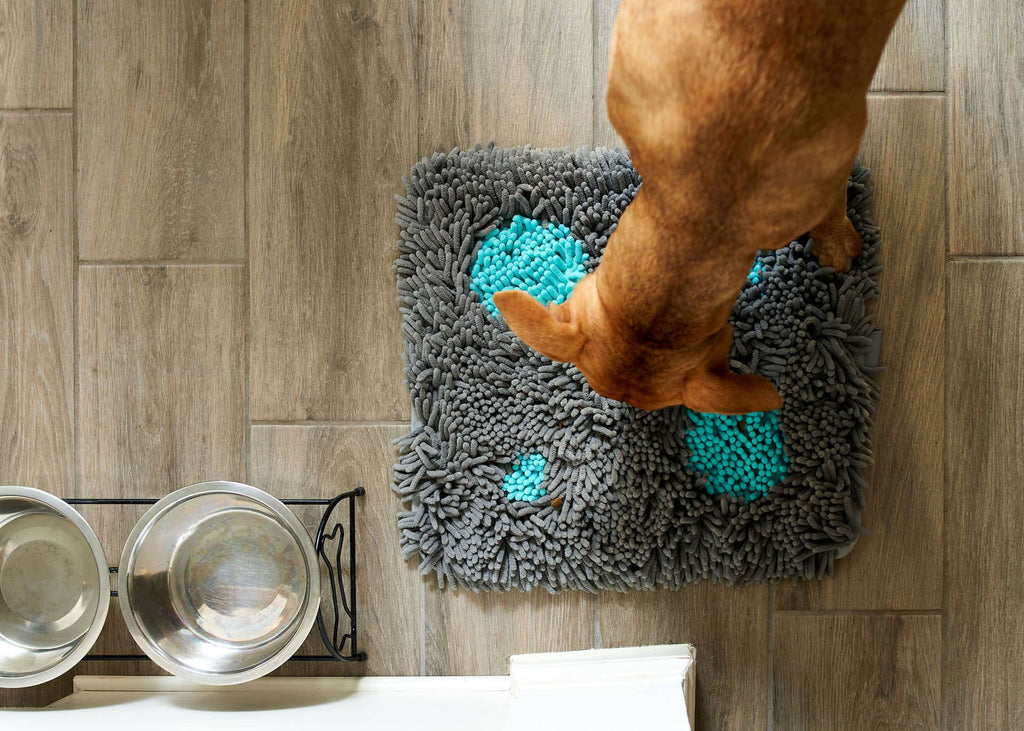 Pet Parents® - Forager® Mat Snuffle Mat for Dogs w/SoftSnout™ - Dog.Dog.Cat.