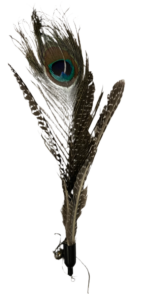 Peacock Feather Wand Attachment Cat Toy - Dog.Dog.Cat.