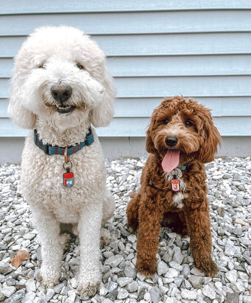 Besties Pets - PB&J BFF Silicone Pet ID Tag Set - Dog.Dog.Cat.