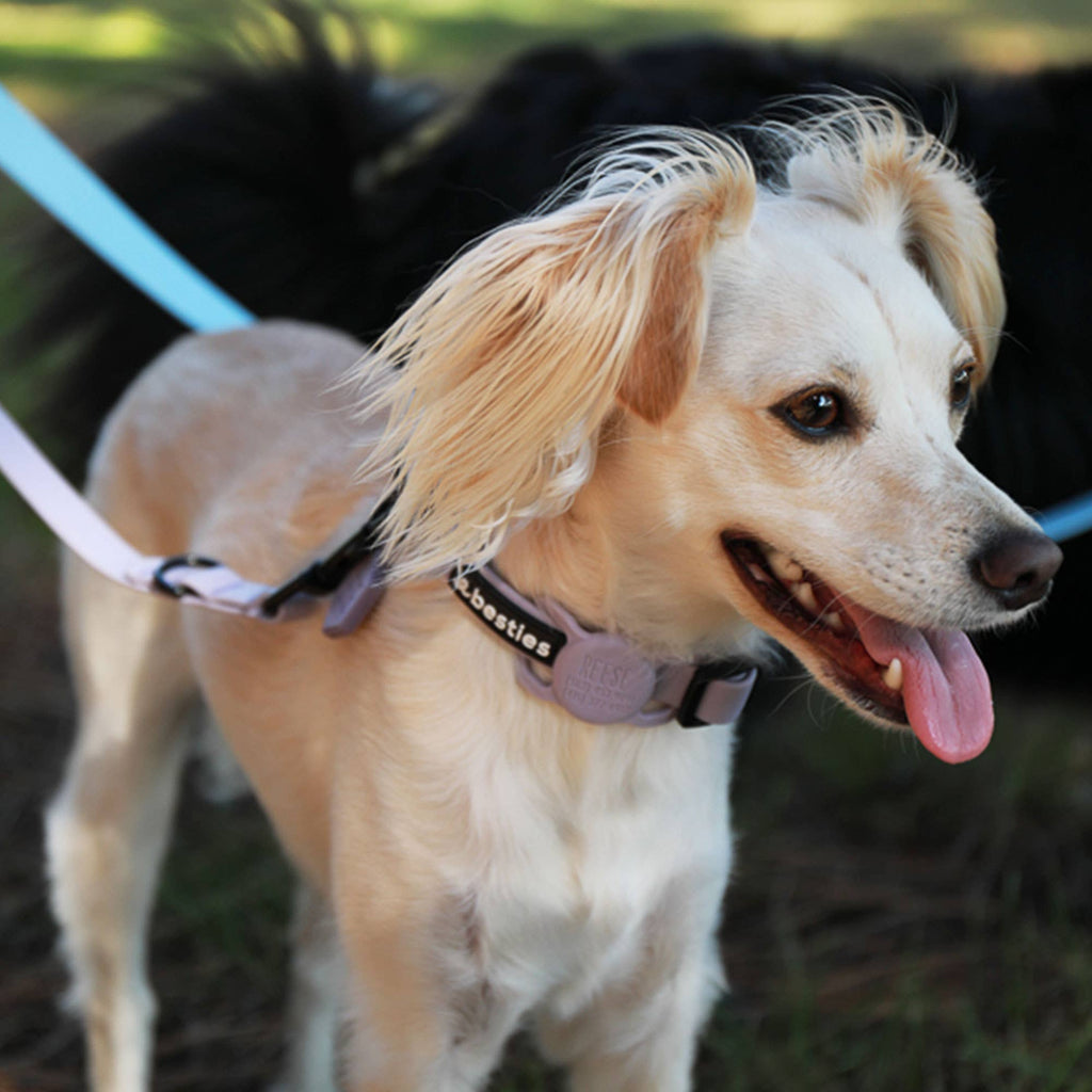 Besties Pets - Blossom Silicone Pet AirTag Holder - Personalized - Dog.Dog.Cat.