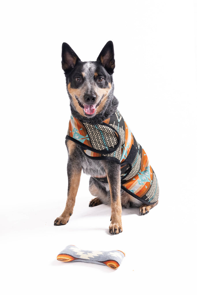 Chilly Dog Dog Blanket Coat - Black Canyon - Dog.Dog.Cat.