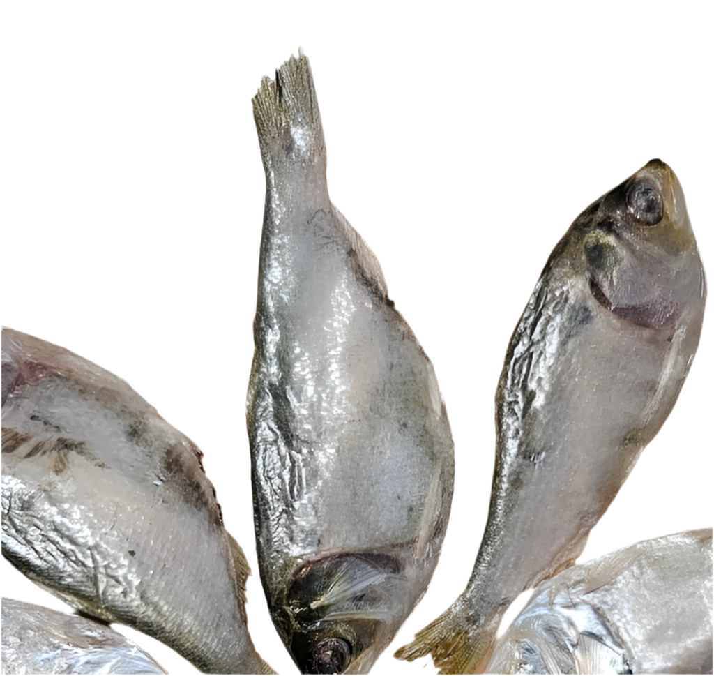 Freeze Dried Menhaden Baby  Each - Dog.Dog.Cat.