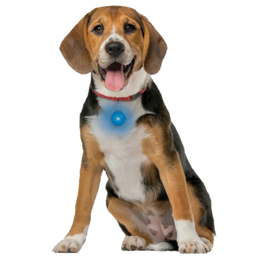Nite Ize SpotLit® Rechargeable Collar Light - Blue - Dog.Dog.Cat.