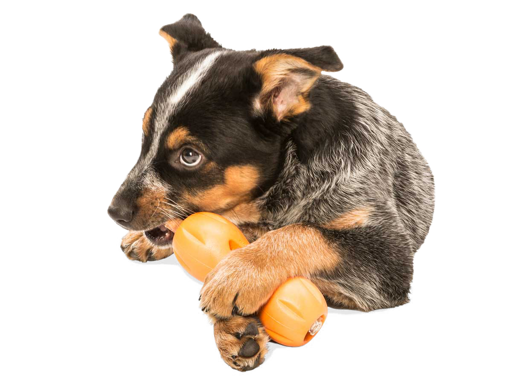 West Paw - Qwizl® Dog Puzzle Treat-Dispensing Enrichment Toy - Dog.Dog.Cat.