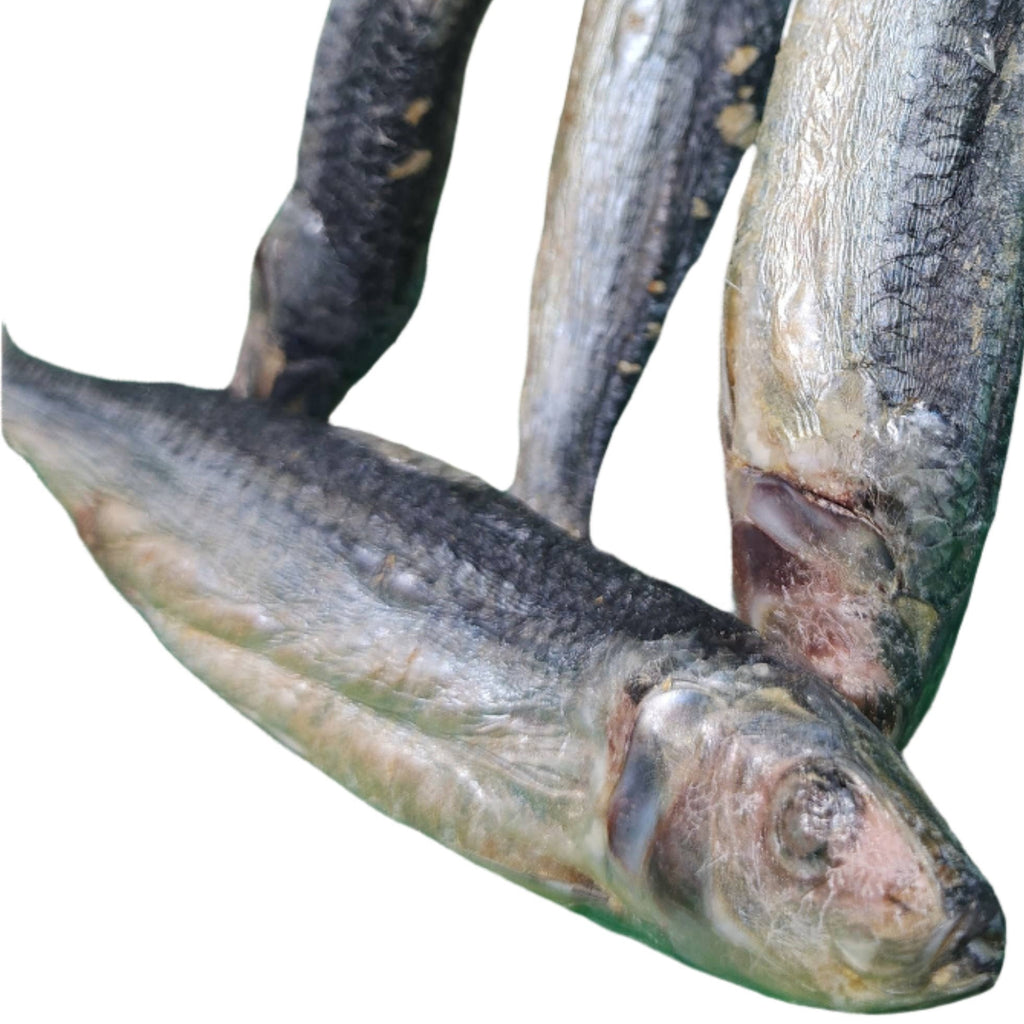 Freeze Dried Dog Treats - Freeze Dried Sardine - Dog.Dog.Cat.